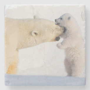 USA, Alaska, North Slope Polar Bears Stone Coaster