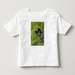 USA, Alaska, Pribilof Islands, St Paul. Blue Toddler T-Shirt