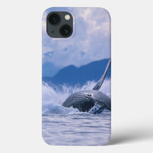 USA, Alaska, Tongass National Forest, Humpback 4 iPhone 13 Case