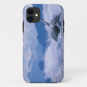 USA, Alaska, Tongass National Forest, Humpback iPhone 11 Case