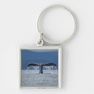 USA, Alaska, Tongass National Forest, Humpback Key Ring