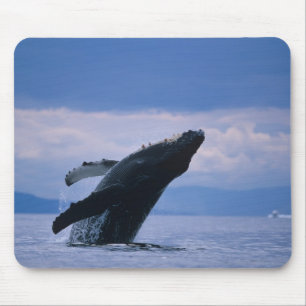 USA, Alaska, Tongass National Forest, Humpback Mouse Pad