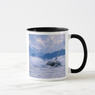 USA, Alaska, Tongass National Forest, Humpback Mug