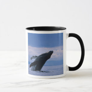 USA, Alaska, Tongass National Forest, Humpback Mug