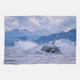 USA, Alaska, Tongass National Forest, Humpback Tea Towel