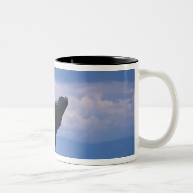 USA, Alaska, Tongass National Forest, Humpback Two-Tone Coffee Mug (Right)