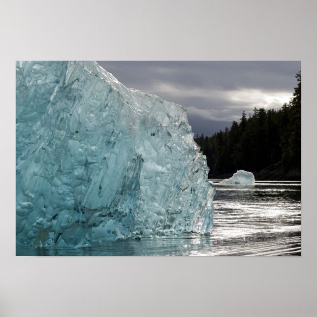 USA, Alaska, Tongass National Forest, Tracy 2 Poster (Front)