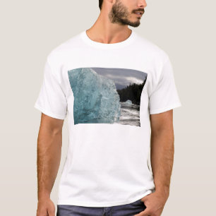 USA, Alaska, Tongass National Forest, Tracy 2 T-Shirt