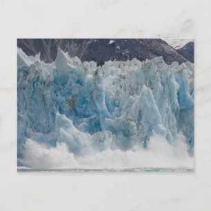 USA, Alaska, Tongass National Forest, Tracy Postcard