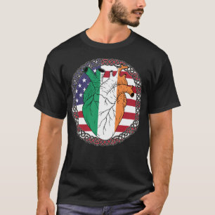 USA America US United States Irish Ireland T-Shirt