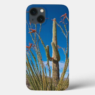 USA, Arizona. Cactus In Saguaro National Park iPhone 13 Case