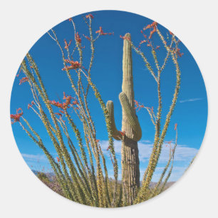 USA, Arizona. Cactus In Saguaro National Park Classic Round Sticker
