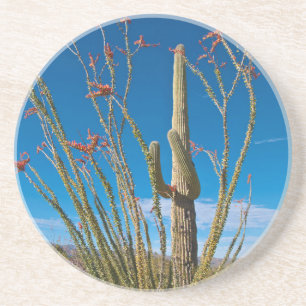 USA, Arizona. Cactus In Saguaro National Park Coaster