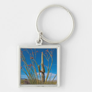 USA, Arizona. Cactus In Saguaro National Park Key Ring