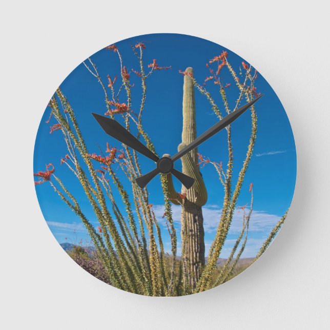 USA, Arizona. Cactus In Saguaro National Park Round Clock (Front)