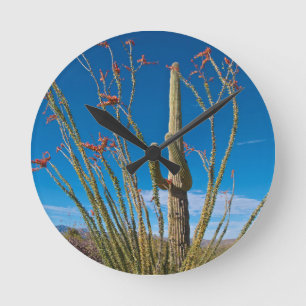 USA, Arizona. Cactus In Saguaro National Park Round Clock