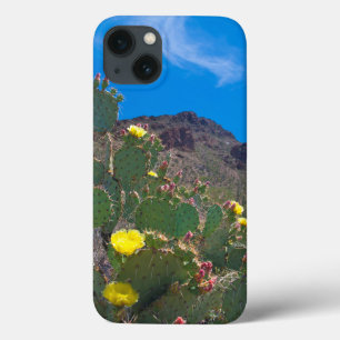 USA, Arizona. Cactus In The Hills iPhone 13 Case