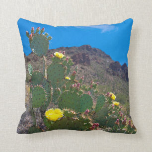 USA, Arizona. Cactus In The Hills Cushion