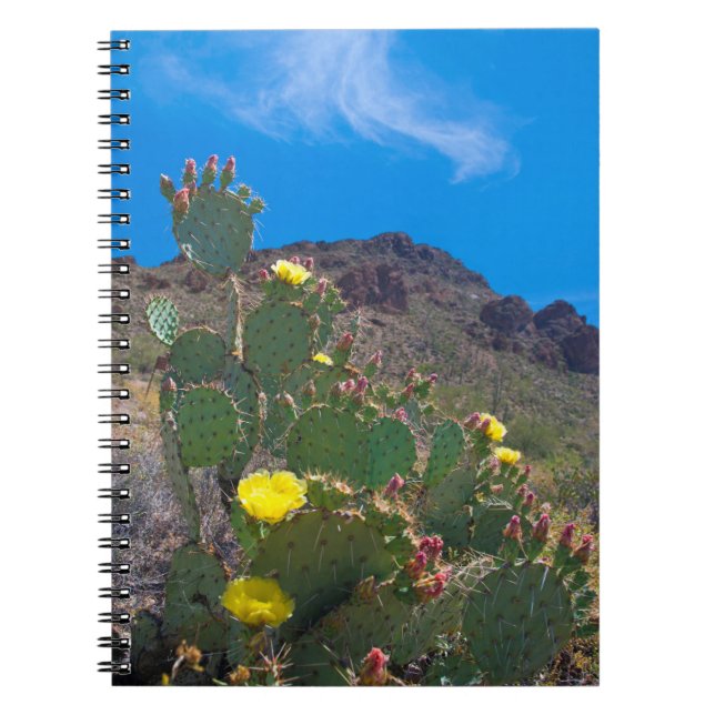 USA, Arizona. Cactus In The Hills Notebook (Front)