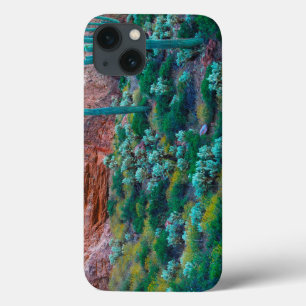 USA, Arizona. Desert Flora iPhone 13 Case
