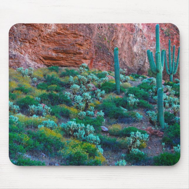 USA, Arizona. Desert Flora Mouse Pad (Front)