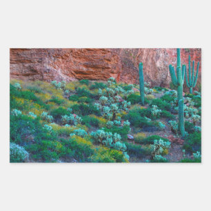 USA, Arizona. Desert Flora Rectangular Sticker