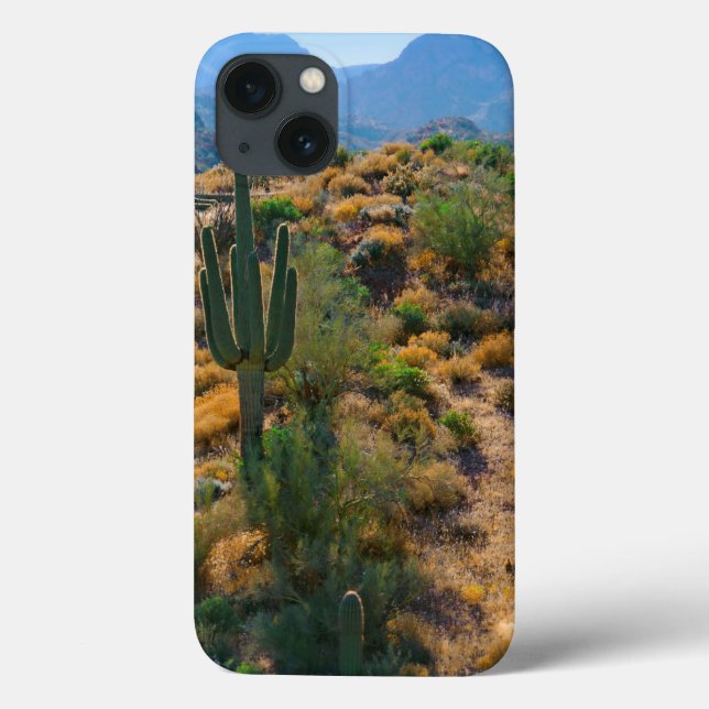 USA, Arizona. Desert View Case-Mate iPhone Case (Back)