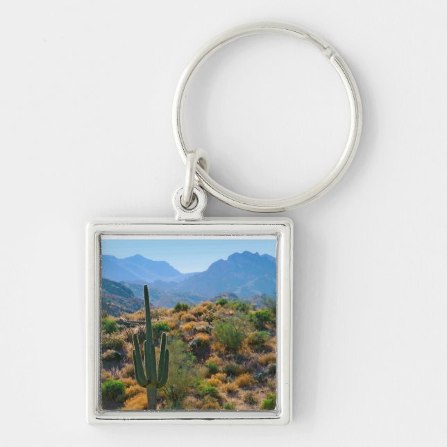 USA, Arizona. Desert View Key Ring (Front)