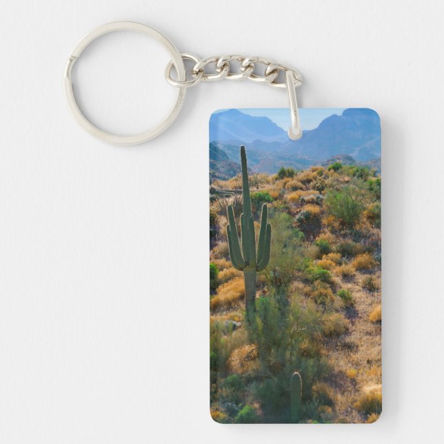 USA, Arizona. Desert View Key Ring (Front)