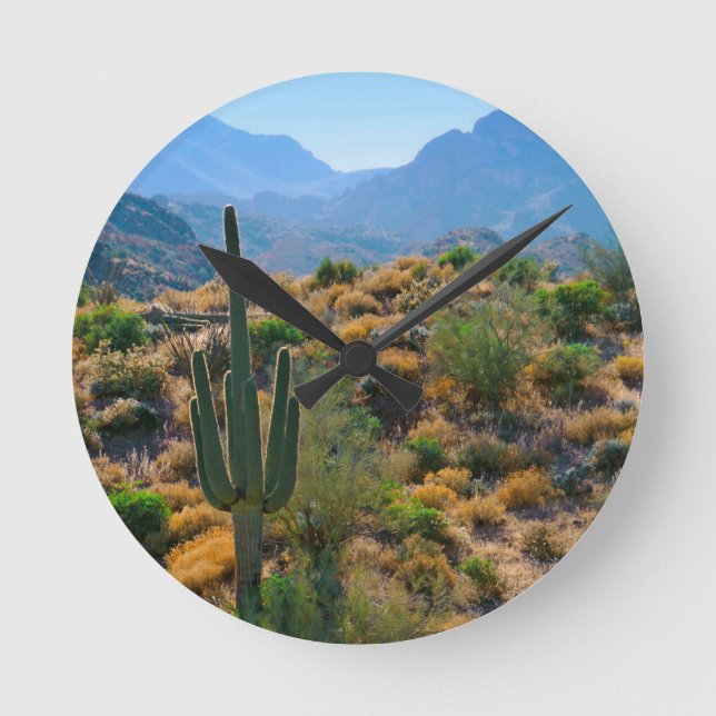 USA, Arizona. Desert View Round Clock (Front)