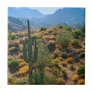 USA, Arizona. Desert View Tile