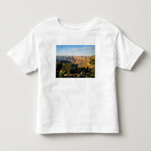 USA, Arizona, Grand Canyon National Park, View Toddler T-Shirt