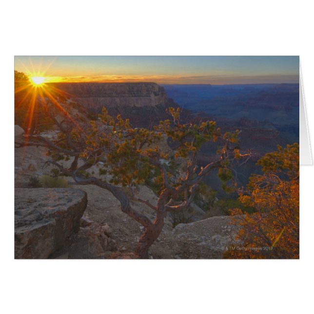 USA, Arizona, Grand Canyon, Yavapi Point at (Front Horizontal)
