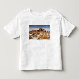 USA, Arizona, Monument Valley Navajo Tribal Toddler T-Shirt