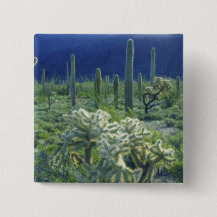 USA, Arizona, Organ Pipe Cactus National 15 Cm Square Badge