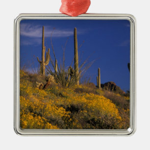 USA, Arizona, Organ Pipe Cactus National 2 Metal Ornament
