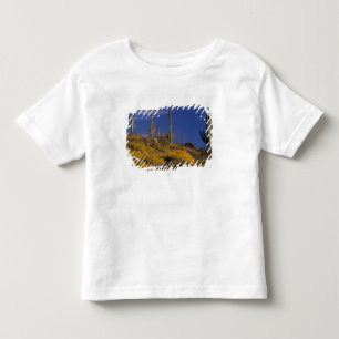 USA, Arizona, Organ Pipe Cactus National 2 Toddler T-Shirt
