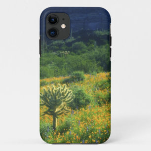 USA, Arizona, Organ Pipe Cactus National iPhone 11 Case