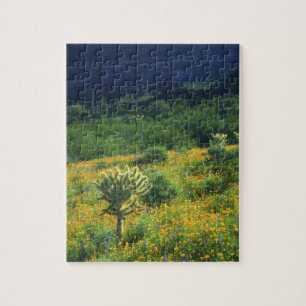USA, Arizona, Organ Pipe Cactus National Jigsaw Puzzle