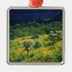 USA, Arizona, Organ Pipe Cactus National Metal Ornament