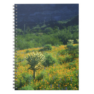 USA, Arizona, Organ Pipe Cactus National Notebook