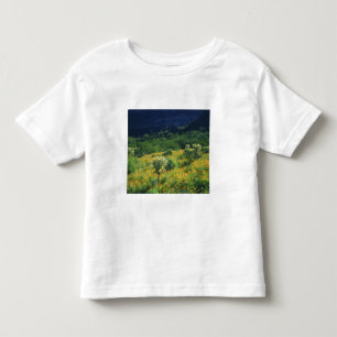 USA, Arizona, Organ Pipe Cactus National Toddler T-Shirt