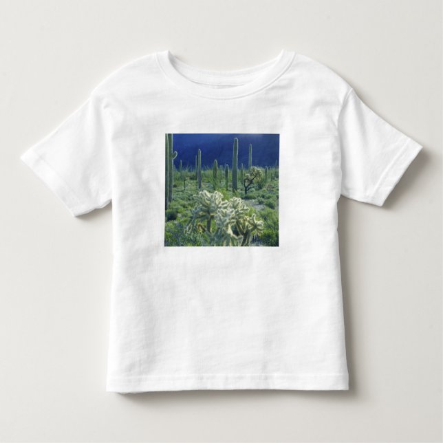 USA, Arizona, Organ Pipe Cactus National Toddler T-Shirt (Front)