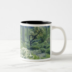 USA, Arizona, Organ Pipe Cactus National Two-Tone Coffee Mug