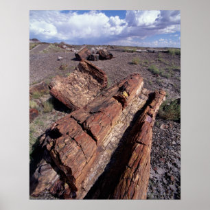 USA, Arizona, Petrified Forest National Park, 2 Poster
