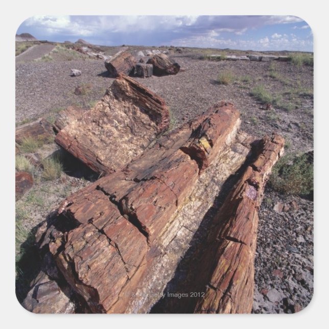 USA, Arizona, Petrified Forest National Park, 2 Square Sticker (Front)