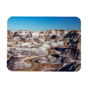 USA, Arizona, Petrified Forest National Park Magnet