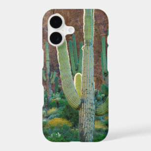 USA, Arizona. Saguaro Cactus Field By A Cliff
