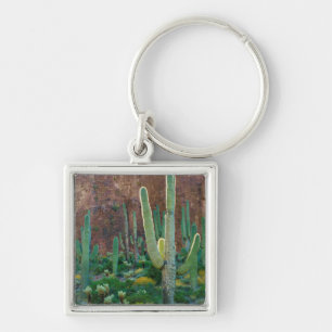 USA, Arizona. Saguaro Cactus Field By A Cliff Key Ring