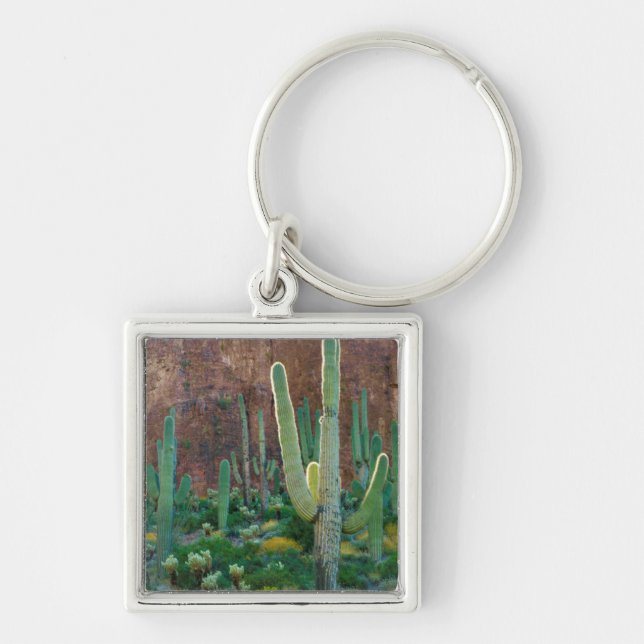 USA, Arizona. Saguaro Cactus Field By A Cliff Key Ring (Front)